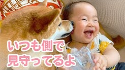 Peco Channel Heartwarming Pet Videos Youtube