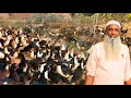 সস্তায খাদ্য ? হাঁস খামারে তিন গুণ লাভ। Chinese duck Farming video.