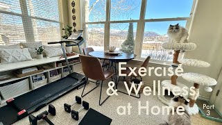 Exercise & Wellness at Home - Part 3 of 3 by Embodyworks 63 views 2 months ago 4 minutes, 37 seconds