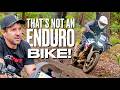 BMW wanted feedback, so I raced their F900 GS Enduro