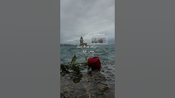 فلا يحزنك قولهم❤️ | القارئ محمد هشام سورة يس