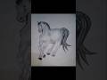 Horse drawing | How to draw a Horse #horse #horsedrawing #shots  #viral #trending #art