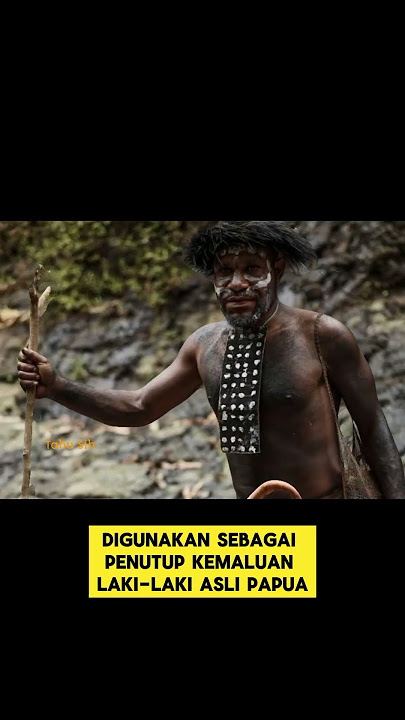 Koteka, Pakaian Adat Papua Penutup P3ni5 #shorts