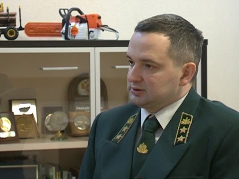 Лес: итоги лесопожарного сезона