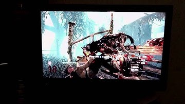 Shi No Numa Dog Glitch