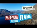 Норильский видеоблог. 24 факта про озеро Лама