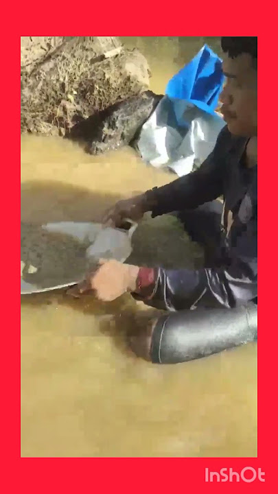 🏆DULANG EMAS PAKAI WAJAN