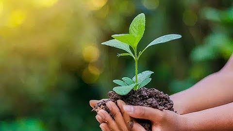 Symfony bien utiliser les variables d