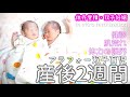 【双子育児】新生児と過ごした2週間/2週間健診/アラフォー新米ママ/キャパオーバー/高齢出産/初産婦