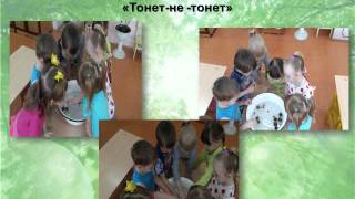 Дикие животные Дикие животные