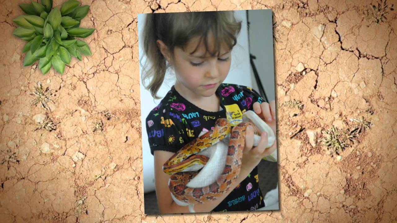 Birthday Party Ideas Greenville SC The Best Birthday Party Ideas YouTube