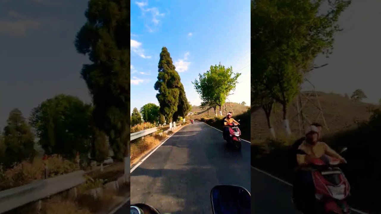 Nature's poetry Healing in the wild, "Lost in the green,or quotes from John Muir 