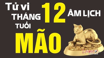 Tử Vi Tuổi Mão Tháng 12 Âm Lịch Năm 2019 Hanh Thông Phơi Phới Đón Tết Ấm No - Tử vi 12 con giáp