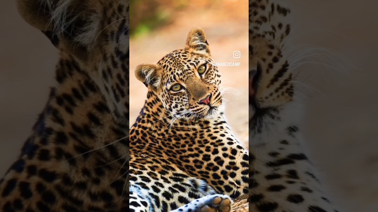 #нумерология