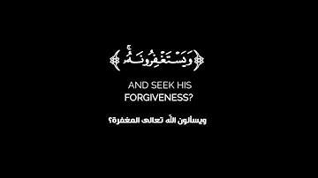 كروما شاشه سوداء قرآن كريم 🌿تلاوة من سورة المائدة 🌿القارئ حازم سيف 🌿