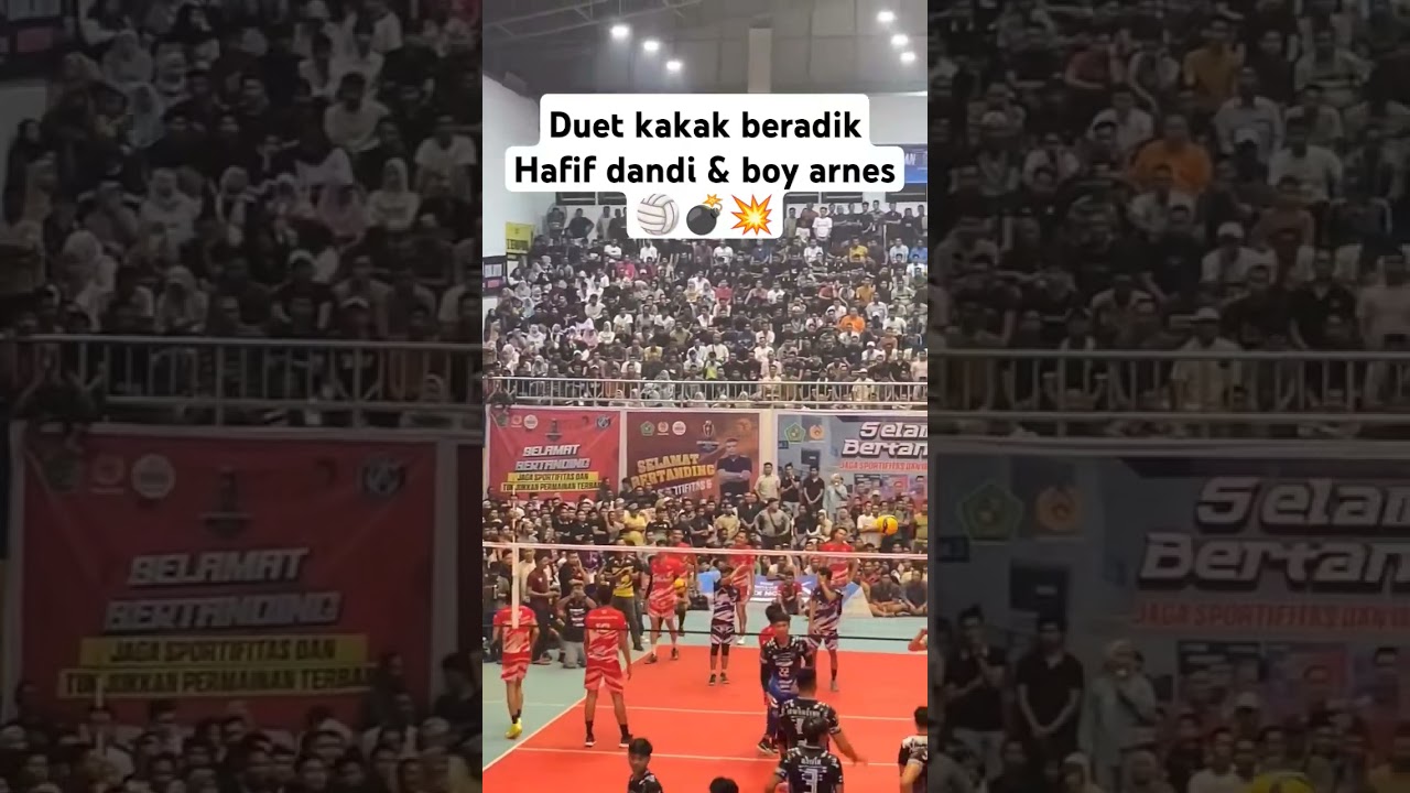 boy arnes & hafif dandi 