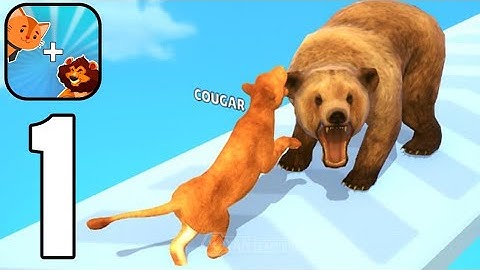 Cat Evolution - Gameplay Walkthrough Part 1 Tutorial Cat Merge (Android,iOS)