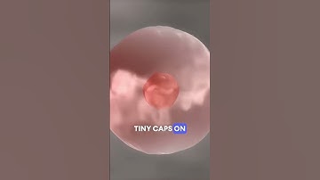 Why Do We Age? The Science Explained! 🧬🔬 #aging #reverseaging #biology #stopaging #neuroscience