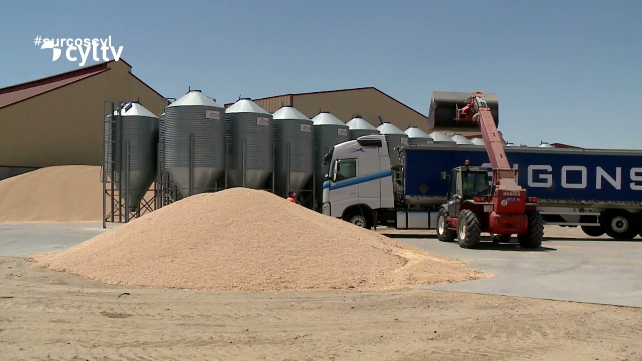 Crisis en el campo: ¿Cómo afecta el conflicto en Irán al precio del cereal y el gasóleo?