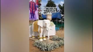 RIP Tharadoh😭 | သ/ဒ လွဲဖီ အစိာ်အတ၊်လီ၊်တ၊်ကျဲ