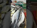 بسم الله ماشالله صوق السمك الفجيرة الامارات رخيص مقارنة مع الغرب بسم الله ماشالله صوق السمك الفجيرة الامارات رخيص مقارنة مع الغرب