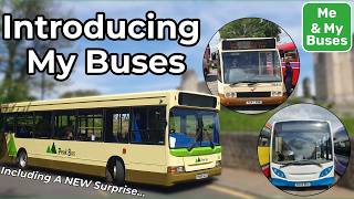 Introducing My Buses