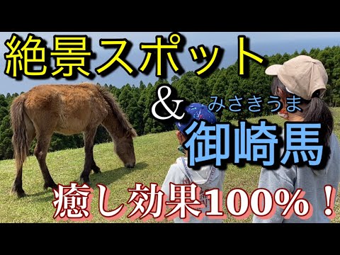 〜旅行編〜【#13】都井岬|野生馬を間近で見られる大絶景|本当に癒されるパワースポット‼️|都井岬灯台|道の駅なんごう