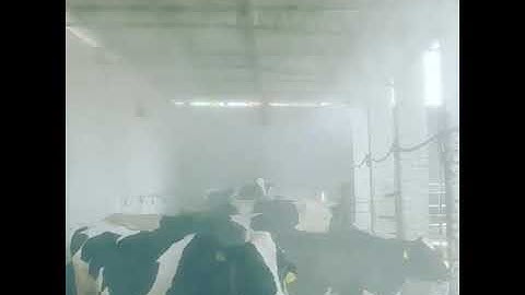 Dairy Fogger System