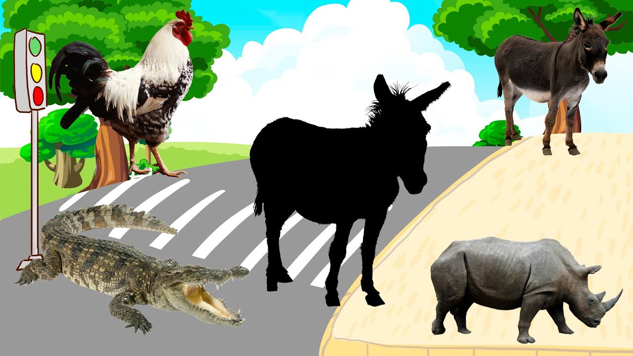 CUTE ANIMALS Rooster, Donkey, Crocodile, Rhino 귀여운 동물 수탉, 당나귀, 악어, 코뿔소