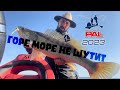 PAL 2023. Горе Море не шутит.