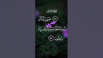 سورة القلم عسى ربنا ان يبدلنا خيرا منها إنا إلى الله راغبون الاية ٢٢