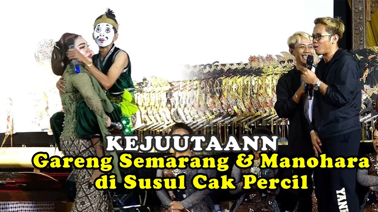 KEJUTAAN..... CAK PERCIL NYUSUL DI TENGAH PAGELARAN LIMBUKAN