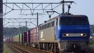 JR貨物 貨物列車1071レ EF210代走EF200-18[吹]号機＋コキ26B