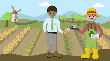 Spectroscopy: COMPOLYTICS®  ScanCorder