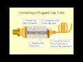 Capillary Tubes in 15 Minutes