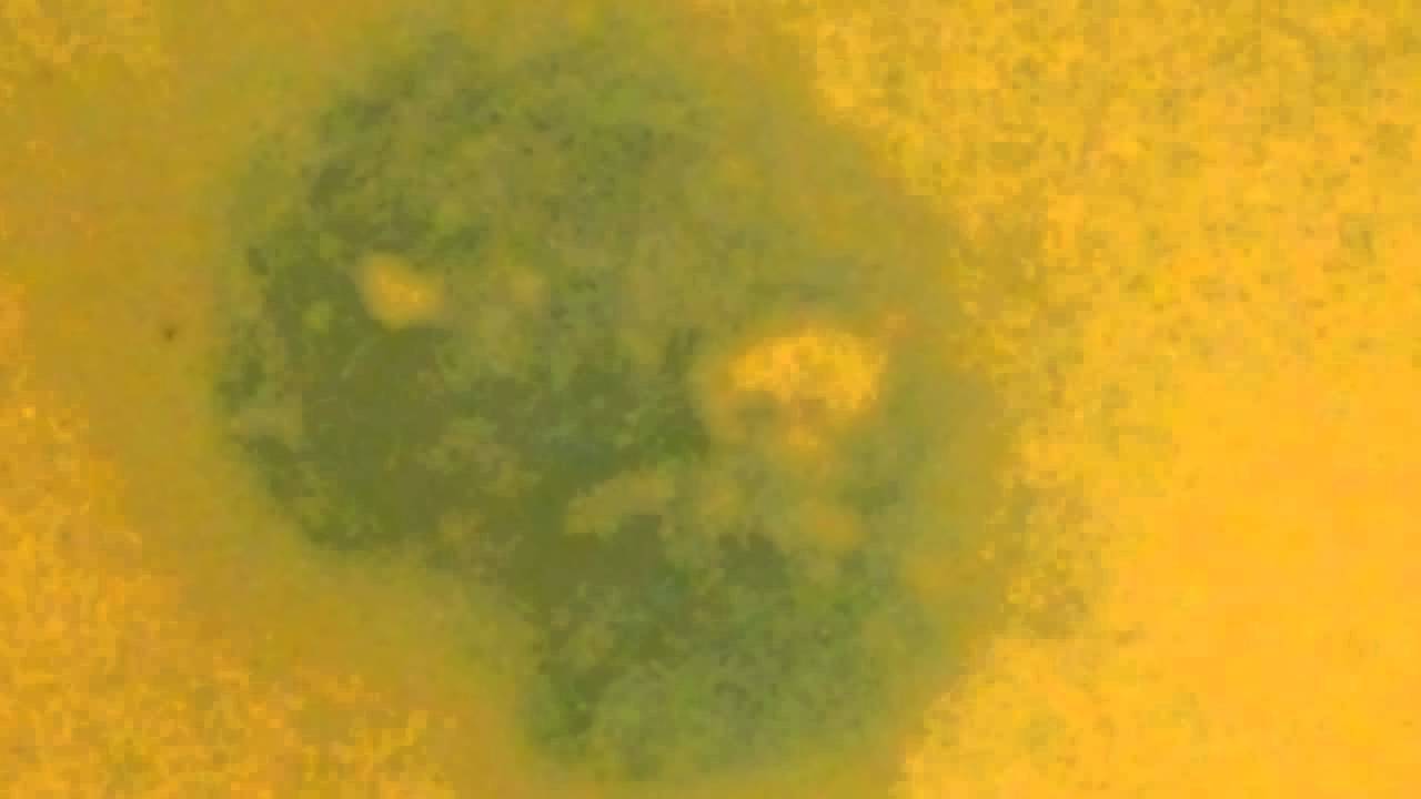 бомбочка для ванны - YouTube