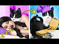 Wednesday Addams Sneaked a Street Cat | Rescuing a Poor Cat | From Stray to Stunning Cat Makeover