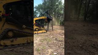 CAT 275 XE + Prinoth M450s = Pine tree gone