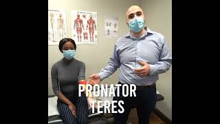 Pronator Teres Syndrome Treatment explained by Dr. Pichini Revitamax Rehab Rexdale Etobicoke Malton