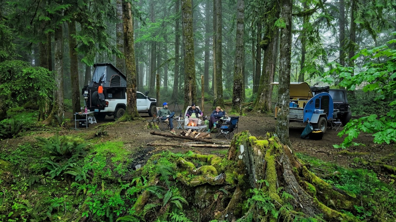 Camping in one of the World's Largest Temperate Rainforests with @WheresWiseman