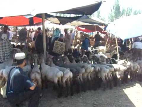 Kashgar Livestock Market