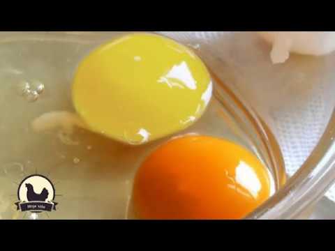 Video: Šta Znači Označavanje Kokošjih Jaja?