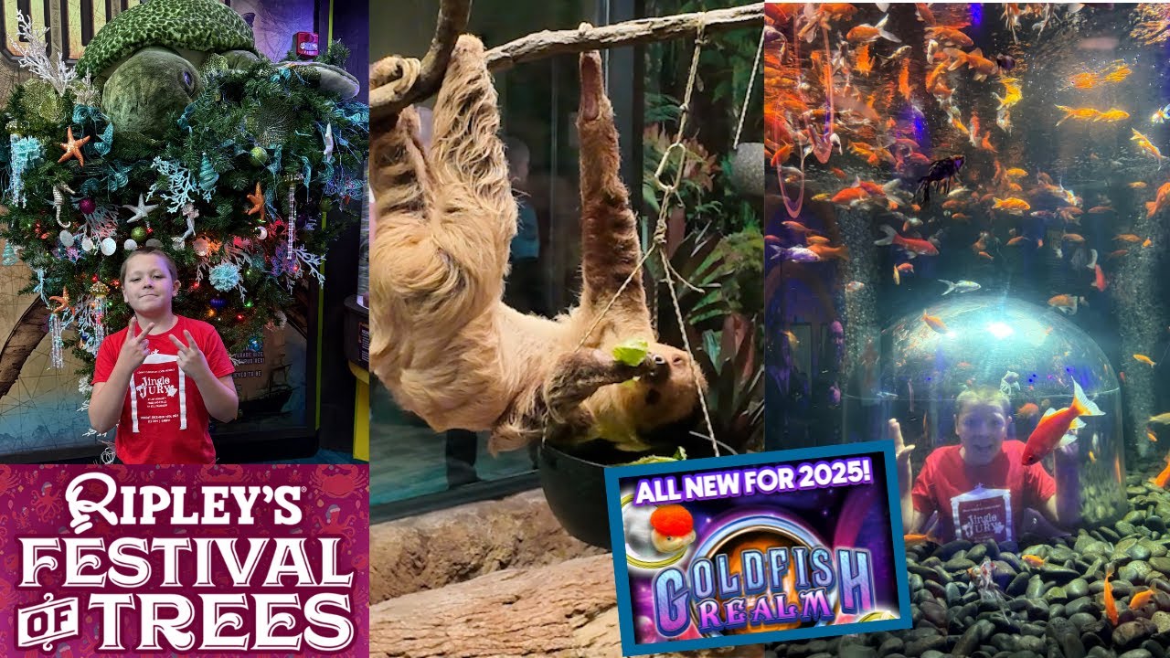 Экскурсия по аквариуму Рипли в Миртл-Бич в 2025 году: Фестиваль ёлок и НОВЫЙ аттракцион «Царство ...