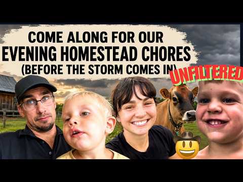 Come Along for Evening Homestead Chores (Southern Minnesota) with Cows, Chickens and Commentary