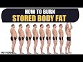 How to Burn STORED BODY FAT - Deep Information by Guru Mann