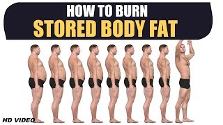 How to Burn STORED BODY FAT - Deep Information by Guru Mann