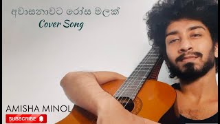 අවාසනාවට රෝස මලක් || Covered by (Amisha Minol) ||