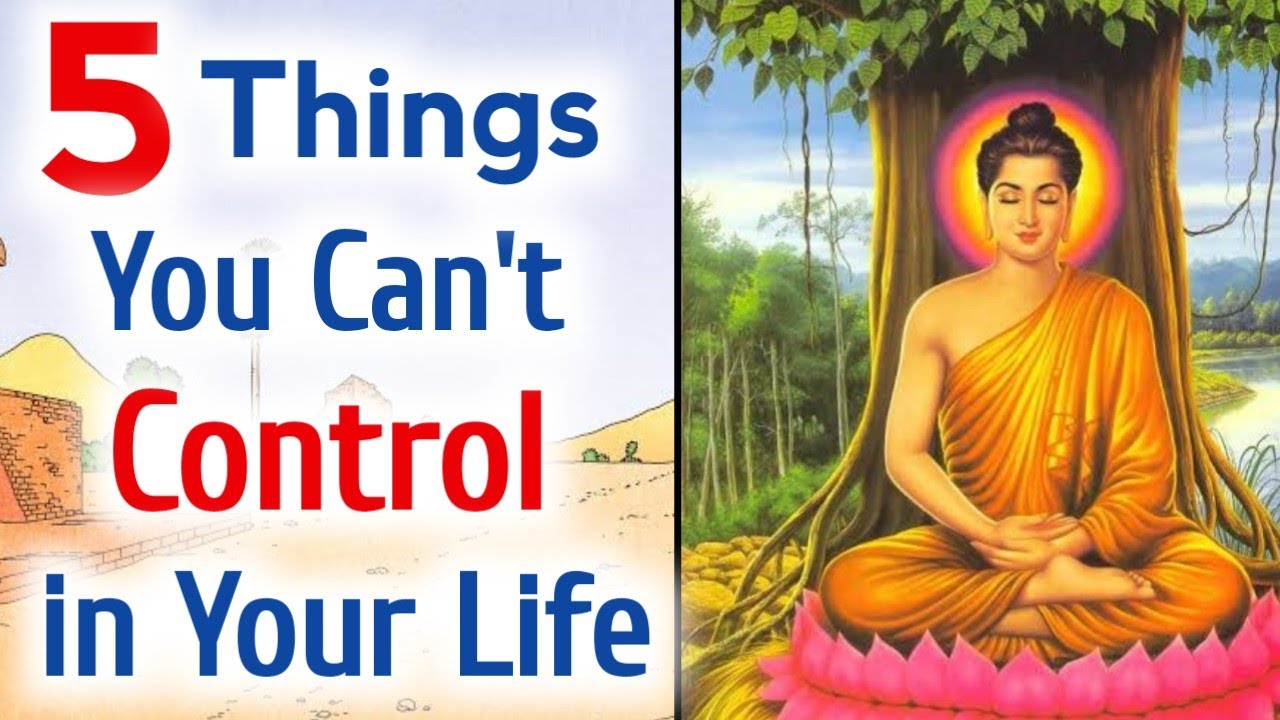 5 Things You Can't Control in Your Life, so let them Go