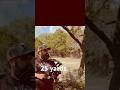 Shooting Sanlida X8 at 25 yards