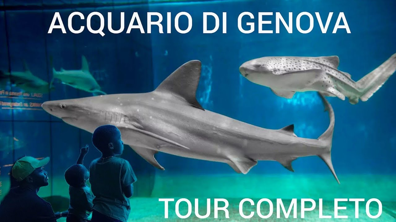 ACQUARIO DI GENOVA - TOUR COMPLETO